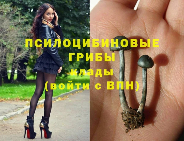 амф Алексин