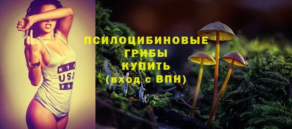 гашик Пролетарск