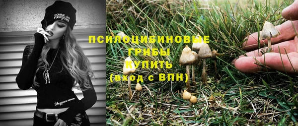 mix Алексеевка