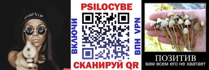 Псилоцибиновые грибы прущие грибы  Дудинка 